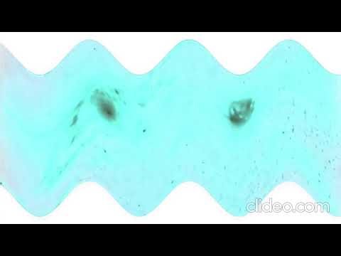 Relativity Media Intro Logo With Multiple Effects Sponsored by Gamavision Csupo Effects Reversed