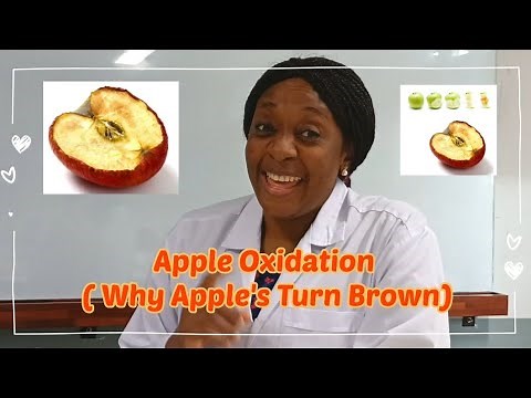 Why Apples Turn Brown | Apple Oxidation | Science Experiment