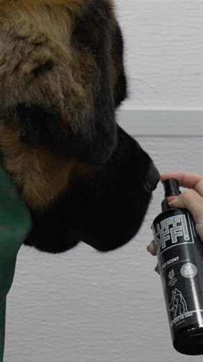 203K views · 1.8K reactions | Check out our amazing Fluff Off...