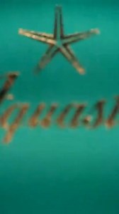 12K views · 22 reactions | Aquastar has a storied legacy in watchmaking, trusted by those who appreciate enduring quality. Timepieces for explorers, divers, and horology enthusiasts, crafted since 1962 with cutting-edge, patented dive watch technology. To explore our pieces, click below now to be redirected to the Aquastar website. | Aquastar Dive Watches | Facebook