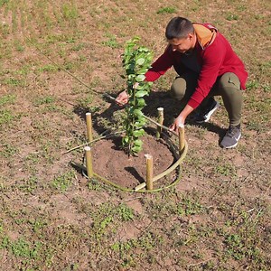 330K views · 964 reactions | Effortless Lawn & Garden Care with These Pro Hacks | Green Bean | Facebook