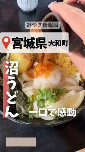 知る人ぞ知る、さぬきうどんの名店 ーーーーーーーー いきなりだけど、みなさん！ うどん＝丸亀製○の人いない？🙋 失敗するうどん屋さんにするなら、丸亀でいいや！ってなりがち。 でもね、 「さぬきうどん むら泉」さんはそんな人にこそ行ってほしい✨ あぁ、うどん屋さんってこんなに美味しいんだ！ やっぱりチェーン店では出せない味💦 って衝撃をうけること間違いなし✨ そんな中でもみんながこぞって頼んでいたのは 「カレーうどん」 良い匂い充満する店内、ついつい私も注文しました✨ 一口食べたらもう…リピ確定！ 行ってみてね♩ ーーーー施設情報ーーーー 🏠施設名：さぬきうどん むら泉 📱Instagram： @murasen_taiwa 🚗駐車場：有り ⏰時間：11:00〜14:30 🗓️定休日：水曜日 上記は投稿日のGoogleおよびSNS情報です。 変更がある場合がありますので、Google、SNS、HPなどで確認してみてください。 —————————— 私たちは東北6県にグループアカウントがあります。 それらを使って 「東北を盛り上げる・東北の未来をより明るくする」 を目標に活動して
