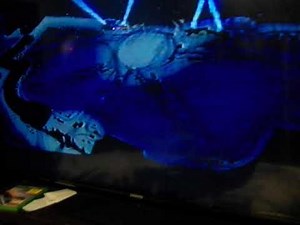 Opening to Miracle on 34th Street (1947) 1997 VHS