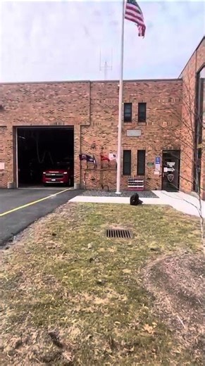 Car 44 responding Code 2 and Engine responding Code 3.