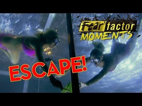 Fear Factor Moments | Underwater Safe Save