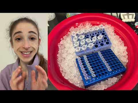 Flash freezing purified protein