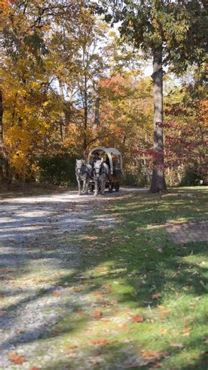 Second weekend of The Santa Experience is in full swing!!!!! 🎥 @mainstreetmediasoill #heysantasil #thesantaexperiencesil #santaoftheheartland #herecomessantaclaus #heartlandsanta #southernillinoissanta #thesantaexperienceofsil | The Santa Experience of Southern Illinois