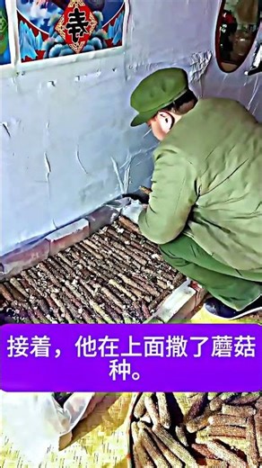 Chinese Skills on Another Level 😱🔥 | Amazing Workers Compilation