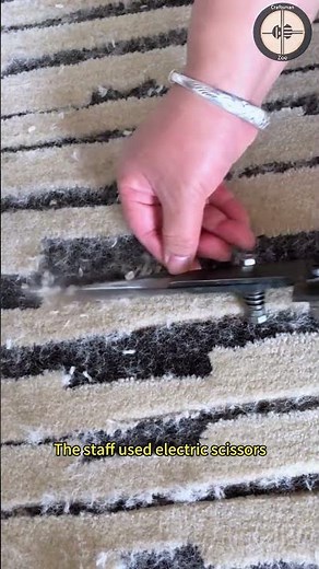The staff used electric scissors to trim the patterns on the carpet