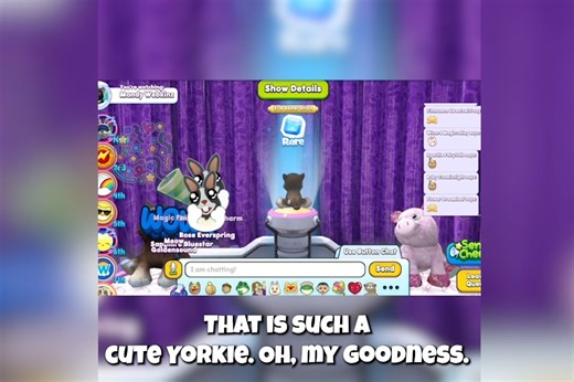2.1K views · 13 reactions | We're throwing another Spark Party later this month! ✨This time we'll be celebrating a pet that all the other pets look up to. Can you guess who it is? | Webkinz | Facebook
