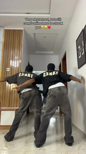 Exploring the Life of Identical Twins on TikTok