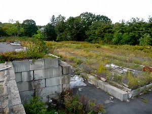 Master Plan Draft: An Overview