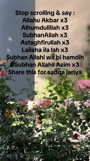 vidclipx (@vidclipx)’s videos with original sound - vidclipx