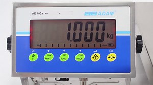 Adam Equipment AE 403a Indicator