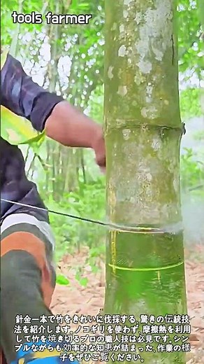 針金で竹を切る驚きの職人技！ #worker #process #bamboo #amazing #technique