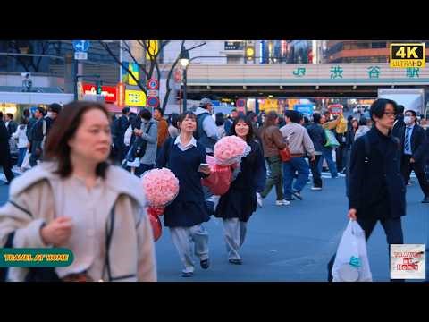4K HDR Japan travel 2026 | Walk in Shibuya (渋谷) Tokyo Japan | Relaxing Natural City ambience