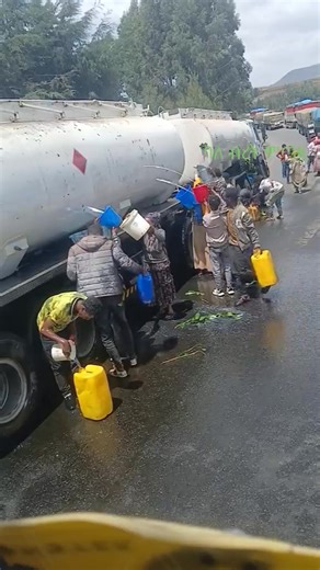 Information Science and Technology on Reels