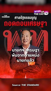 THE STANDARD knd on Reels