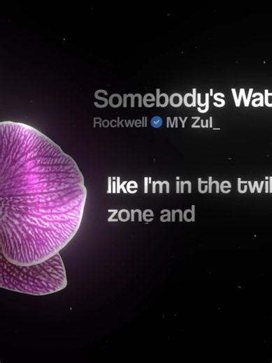 Somebody's Watching Me Rockwell Lyrics and Music