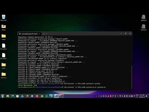 Using tsk recover to extract system and system ex files