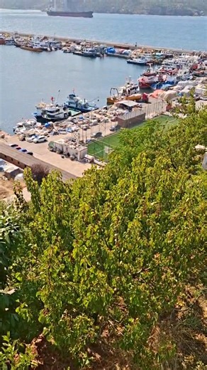 8.5K views · 197 reactions | Here you can admire the Yavuz Sultan...