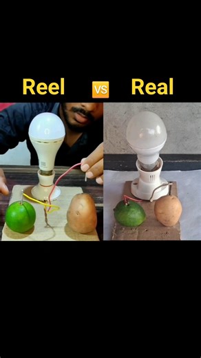 Potato & Lemon: Real or Fake? 🥔🍋 #Science