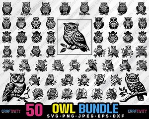 Owl Clipart Bundle: Vector Graphics for Cricut (digital Download) - Etsy