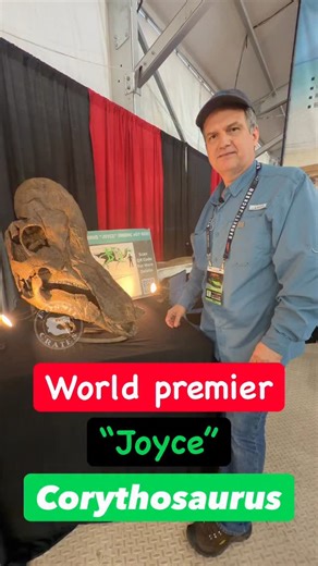 Meet Joyce! This gorgeous Judith River Formation lambeosaurine hadrosaur “duck bill” dinosaur, was found with most of its skeleton. Such a cool beast! Twas named after the discover’s wife. This Corythosaurus “helmet lizard,” Brown 1914 lived ~76 mya, where these up to 30’, 3-ton herbivores spent their days browsing on conifer needles whilst avoiding the tyrannosaurids Gorgosaurus, Daspletosaurus, and the new one (see Sir William). Brown described it in 1914 and included this cool phrase, “The ex