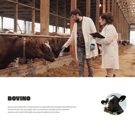 Bovino - Livestock and Agriculture Web Design