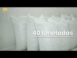 10 de setembro de 2025