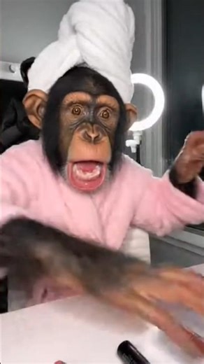 My Biggest Fear: HUMANS! 😱👺 (Prank Gone Wrong)