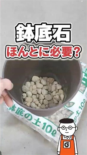 Is pot bottom gravel really necessary? A thorough investigation into water flow #shorts