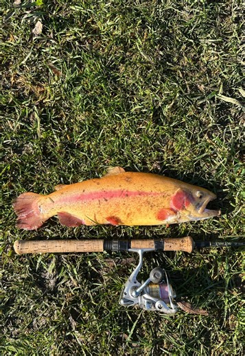 Effective Fishing Techniques with Mini Jigs and Spoons