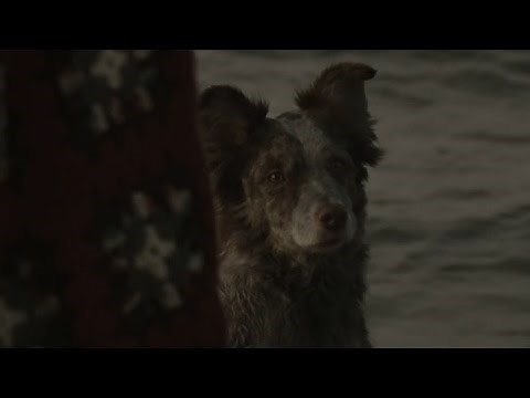 The Road - Ending Scene (Full HD)