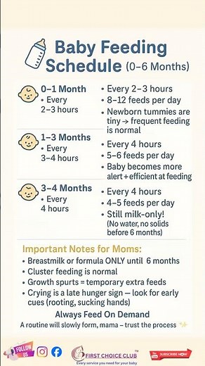 🍼 Baby Feeding Schedule (0–6 Months)