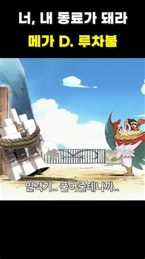 너 내 동료가 돼라, 메가 D. 루차불 #포켓몬