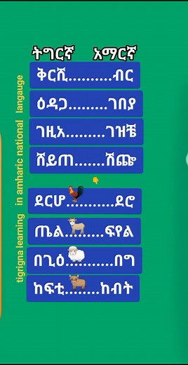 Learn Tigrigna Language Easily