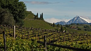 Agricoltura biodinamica, cosa c'è da sapere: le risposte a 8 domande