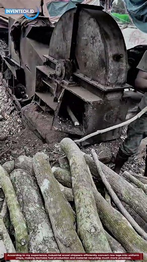 How Wood Chipper Machines Turn Logs Into Uniform Biomass Chips