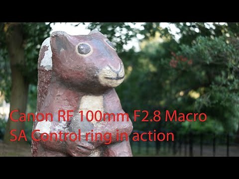Canon RF 100mm F2.8L IS Macro USM SA control ring demonstration