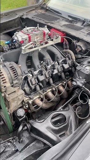 LT heads on Carbureted LS engine