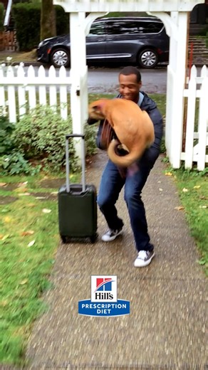 Every dog deserves a bounceback. Ask your vet about Hill's Prescription Diet — life changing therapeutic nutrition. | Hill’s Pet Nutrition