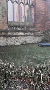 Buried relics on Reels