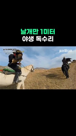 Сәнді аңшылық: Саңыраулық пен қазақ жыртқыштары