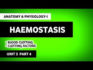 Hemostasis | Blood Clotting | Blood Coagulation | Human Anatomy And Physiology | HAP | B Pharma