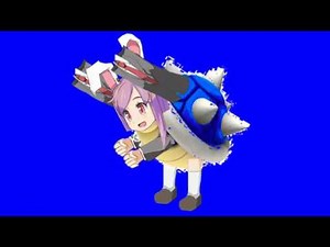 カメックスHSI姉貴BB＋使用例