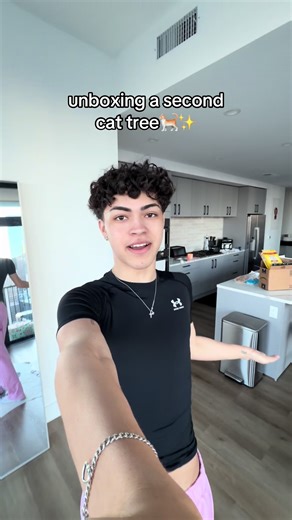 Upgrading to a Stylish Cat Tree