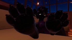 pawpads ASMR
