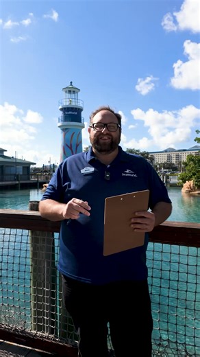 Get Unlimited Visits with a Fun Card so you can see all the Awe and Awesome SeaWorld and Aquatica has to offer. For a limited time, pay for less than a day, play all year. | SeaWorld Orlando