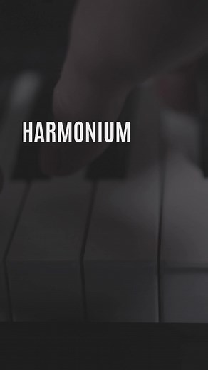 SG Musical Indian Musical Instruments Visit Now:- www.sgmusical.com Mail At:- Sgmusical1981@gmail.com Call Or Whatsapp:- (0)7347212177 #MusicalInstruments #Harmonium #Banjo #Tabla #Guitar #Dholak #explore #reelsviral #trend #reelsinstagram #Plectrums #Drums #Strings #Tumbi #Bongo #Congo #BhangraItems #Dafli #Khartal #Manjira #Mandolin #Music #Bugle #Bells #Trumpet #Clarinet #MouthOrgan #Chimta #Shakers #Iktaara | SG Musical | Facebook